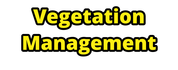 Vegetation Management